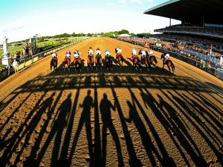 It's the Breeders' Cup from Keeneland this weekend